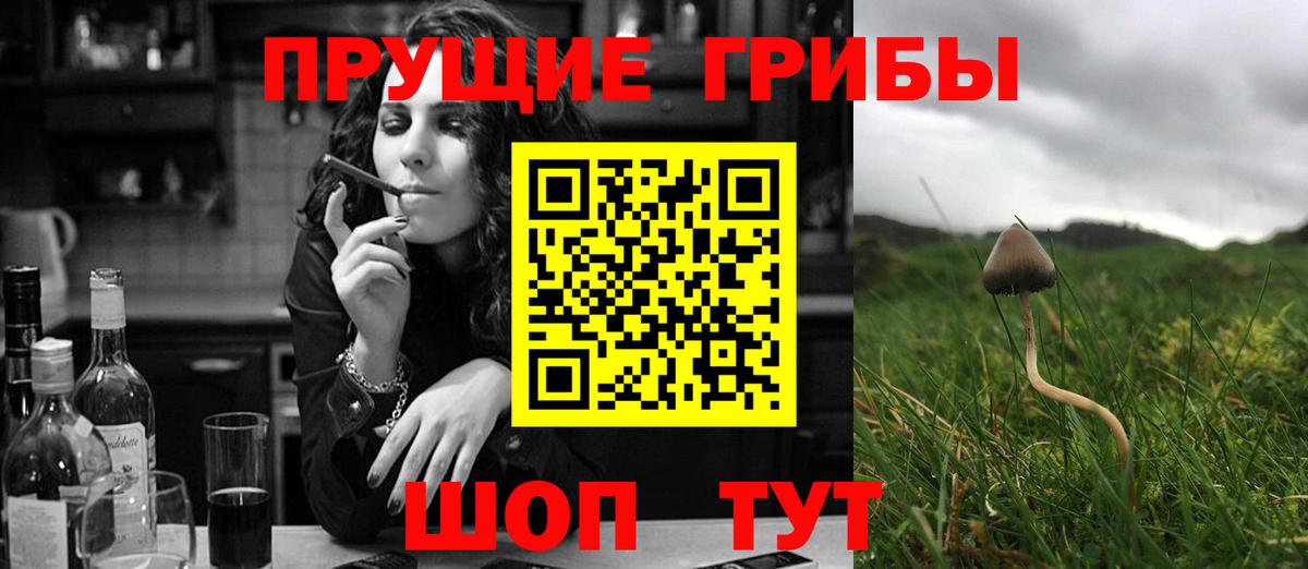 Галлюциногенные грибы MAGIC MUSHROOMS  Вход с VPN  Тихвин  Галлюциногенные грибы прущие грибы 